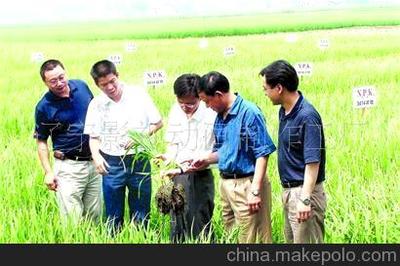辽宁本溪农资小麦种子广告片拍摄制作图片,辽宁本溪农资小麦种子广告片拍摄制作图片大全,辽宁影视动画制作工厂-